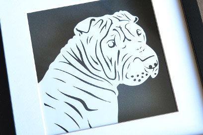 Shar Peis portrait commission