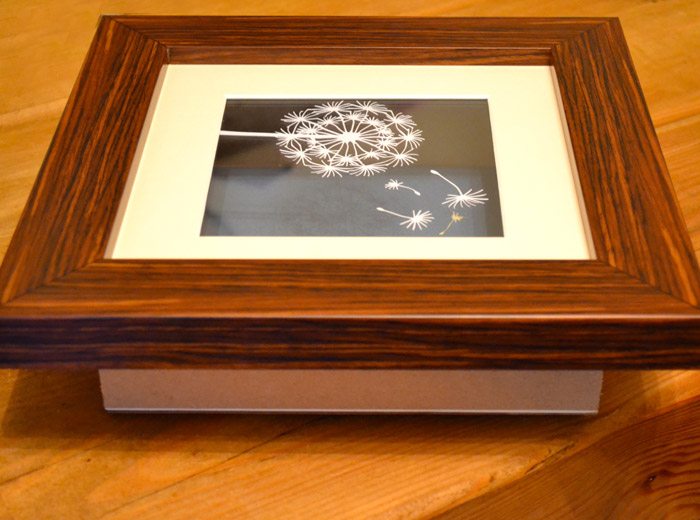 dandelion frame options
