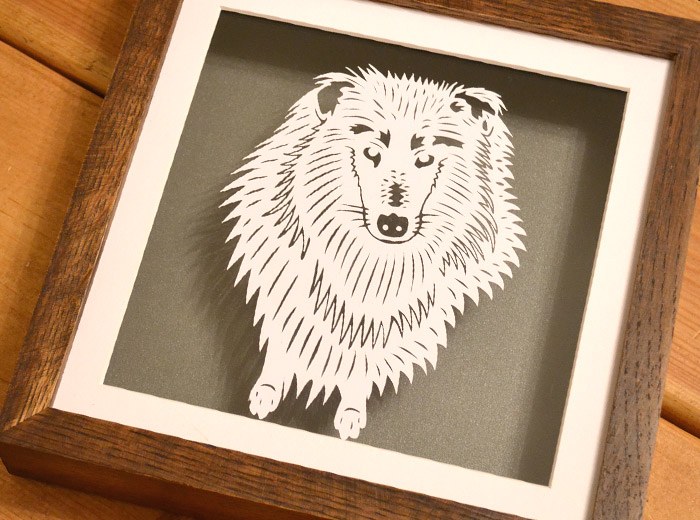 Rough collie blue merle portrait